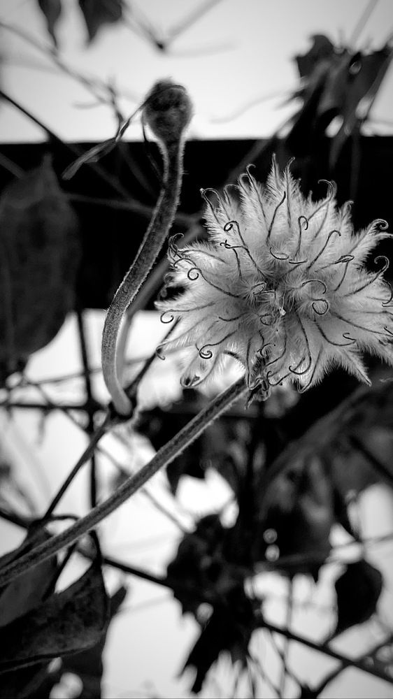 Photograph by Елена