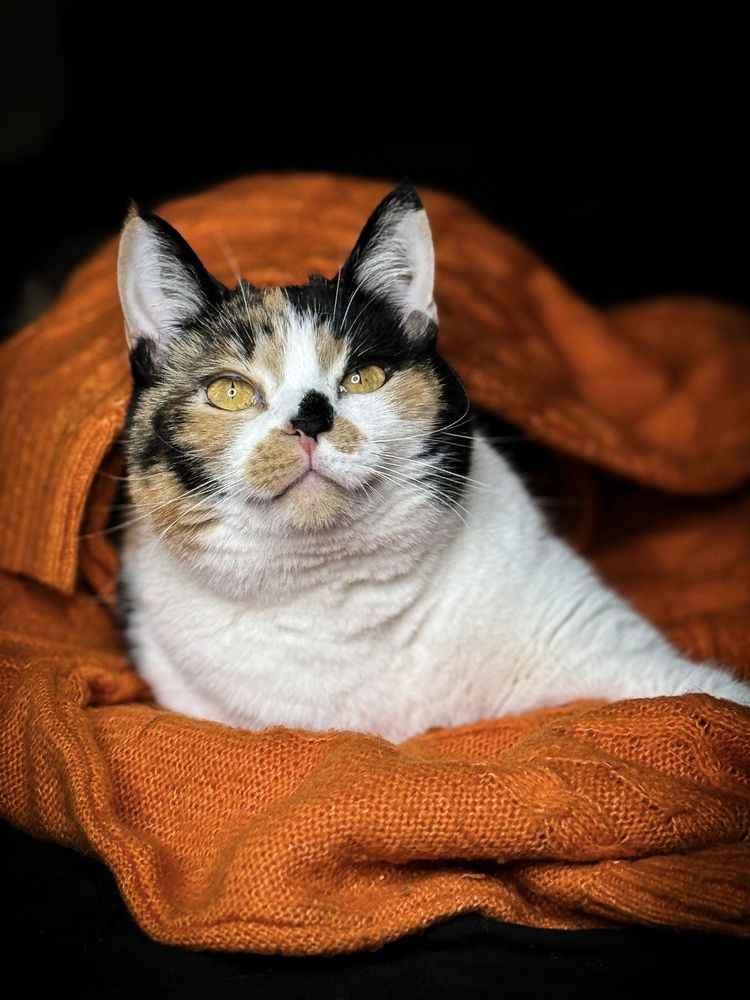 Photograph by Ирина Куренкова