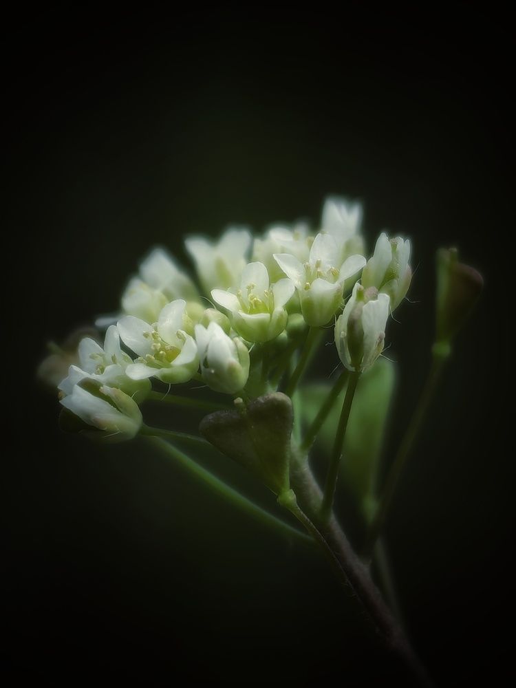 Photograph by Сергей Зайцев