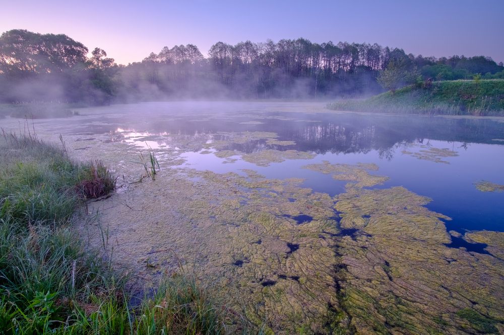 Photograph by Александр Корженков