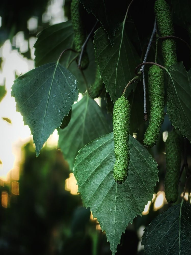 Photograph by Сергей Зайцев