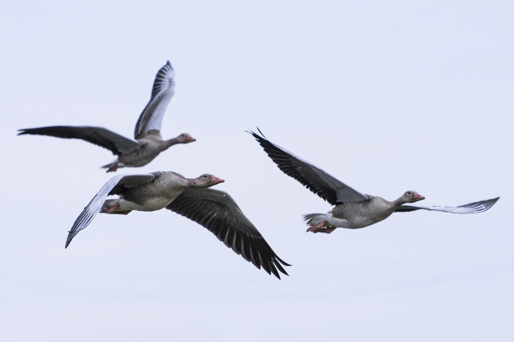 Photograph by Кирилл Савенко