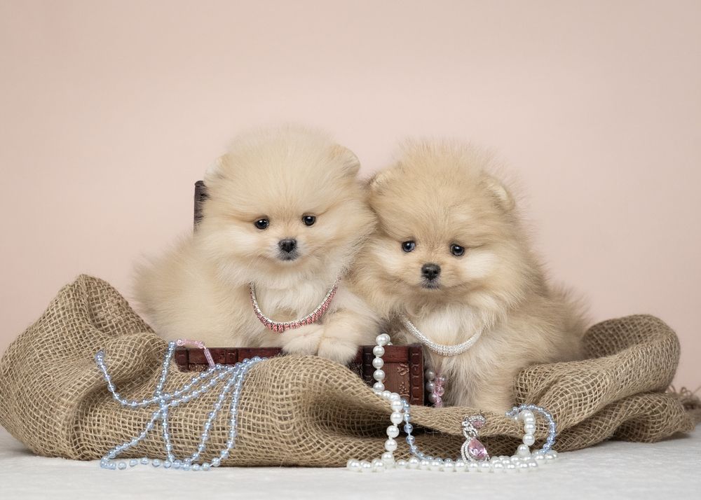 Фотография автора Валерия Капитонова