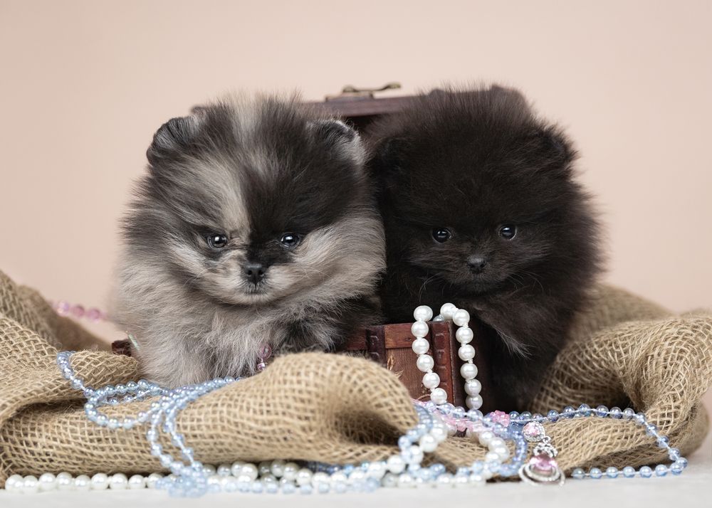 Фотография автора Валерия Капитонова