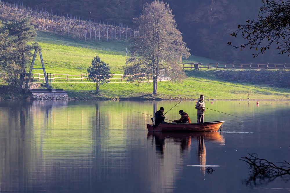 Photograph by Gregor Kobilica