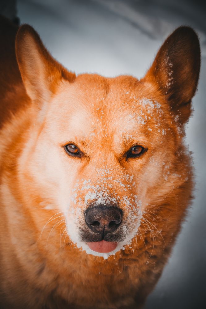 Фотография автора Кристина Шефер