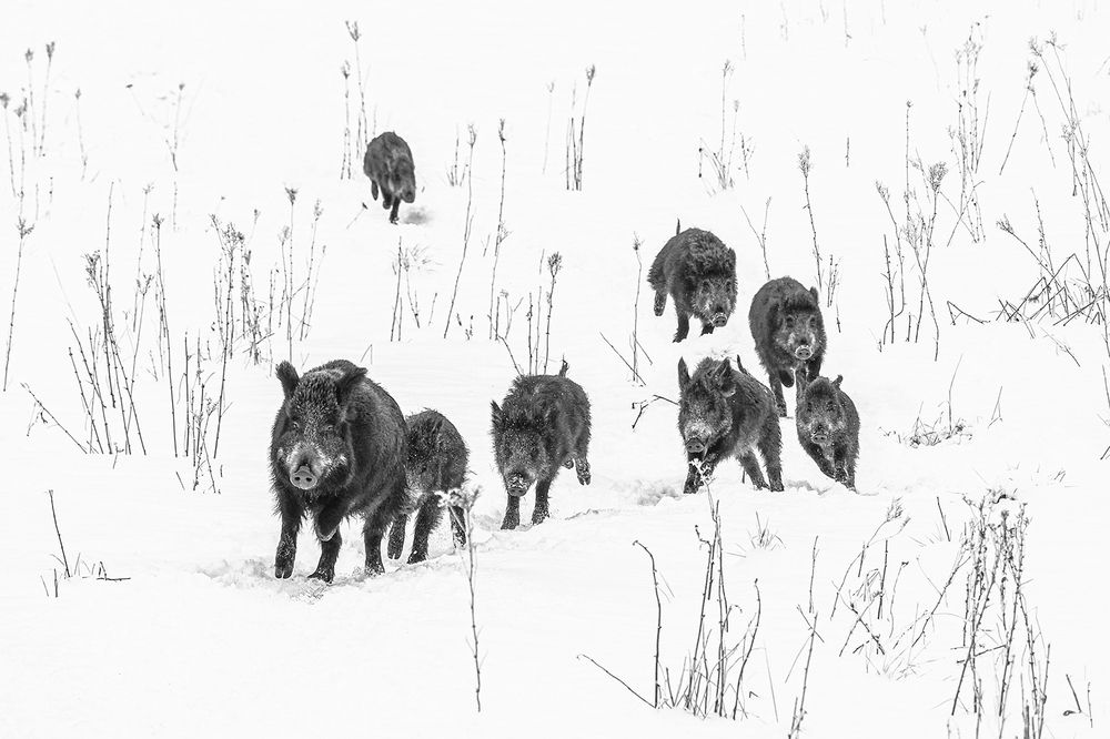 Photograph by Анжелика Титова