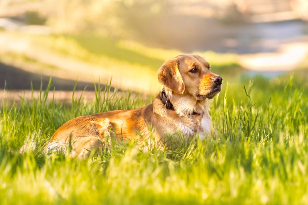 Photograph by Elena Tishenko