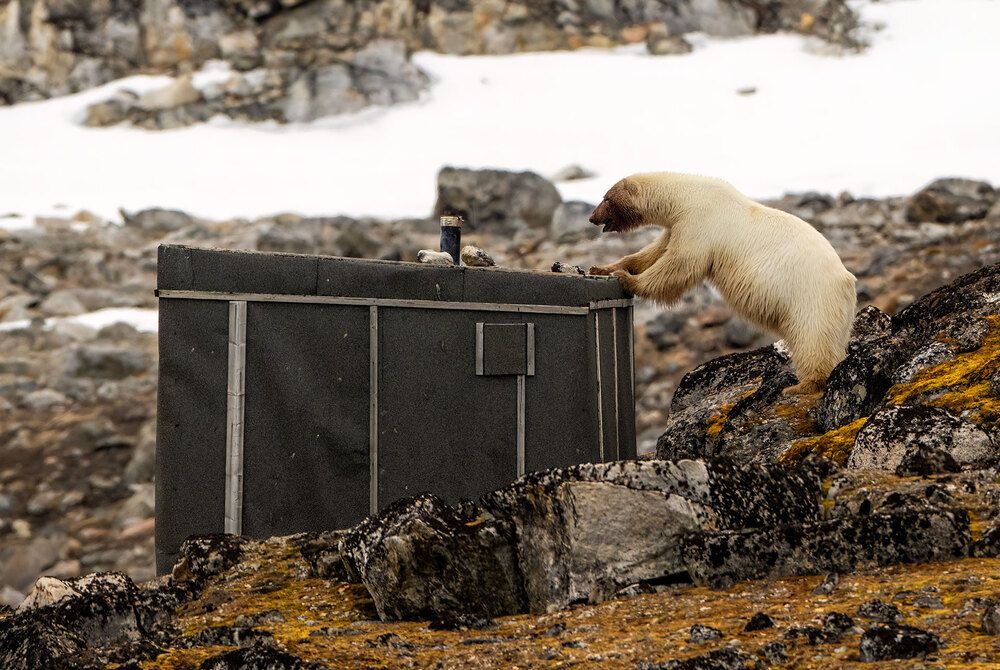 Фотография автора Vishnu Gopal