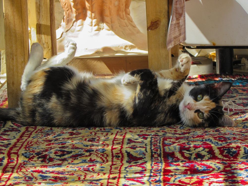 Photograph by Moein Gheysari