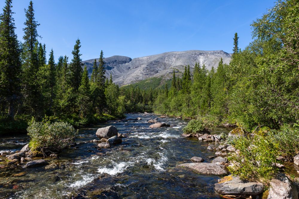 Photograph by Диана Бородзе