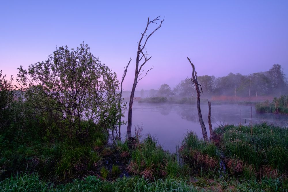 Photograph by Александр Корженков