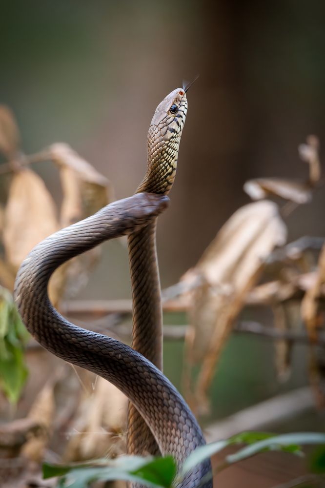 Photograph by Hari Patibanda