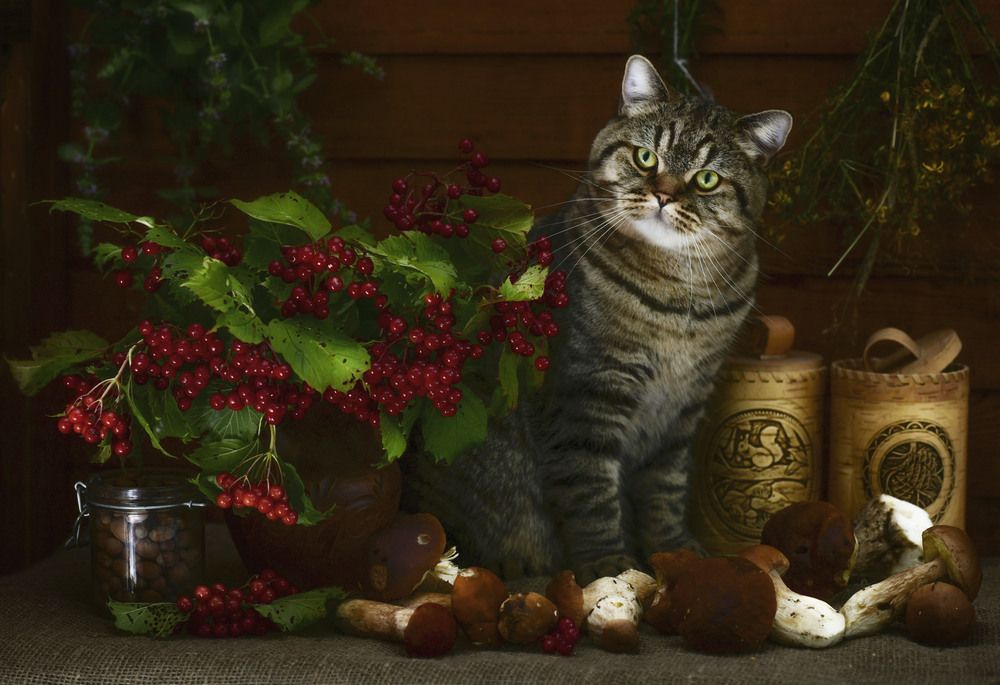 Photograph by Ирина Ефимова