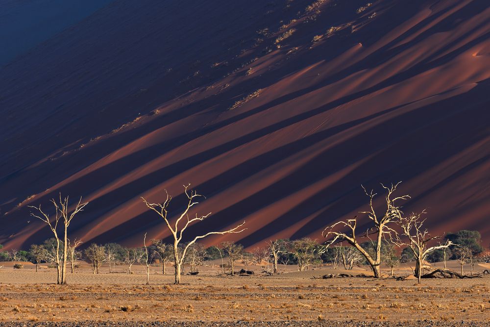 Photograph by Никита Шиндин