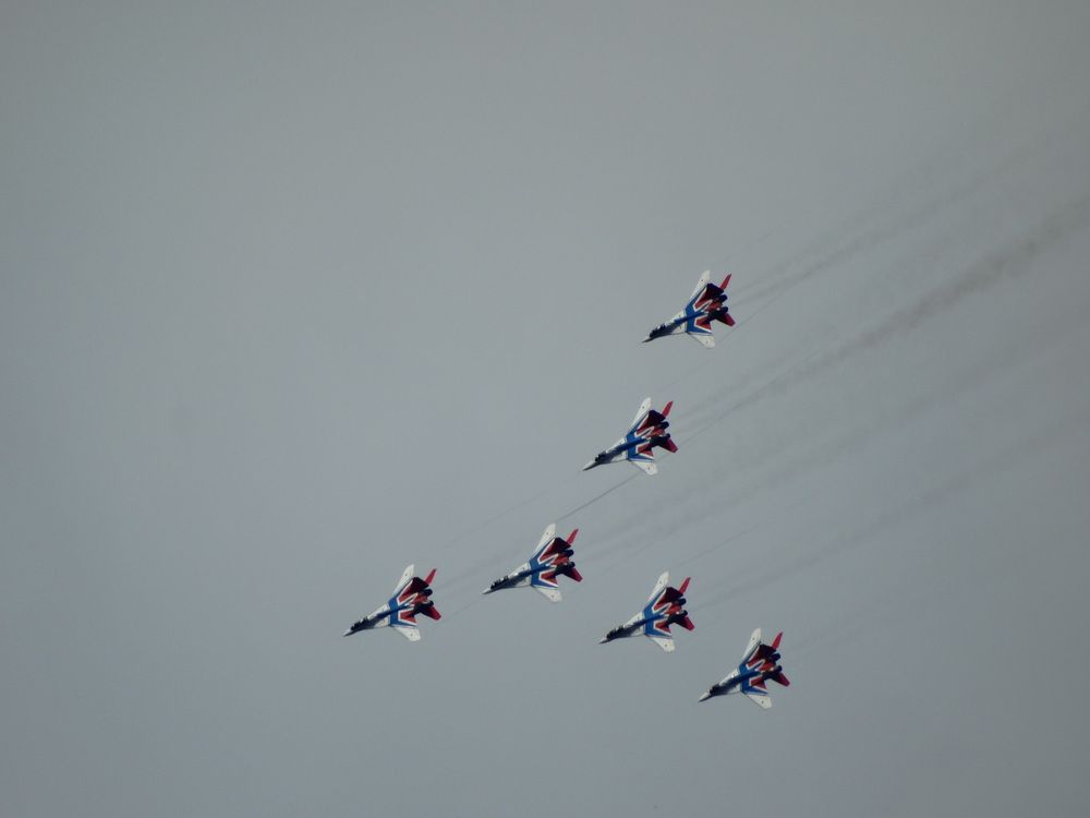 Русские Стрижи!