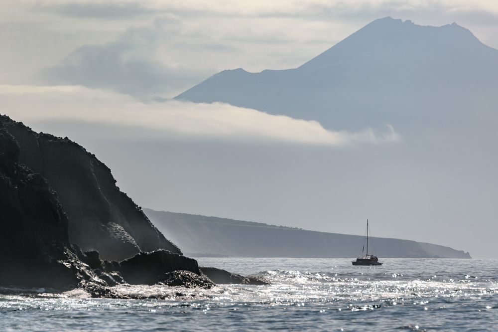 Фотография автора Мария Рохмистрова