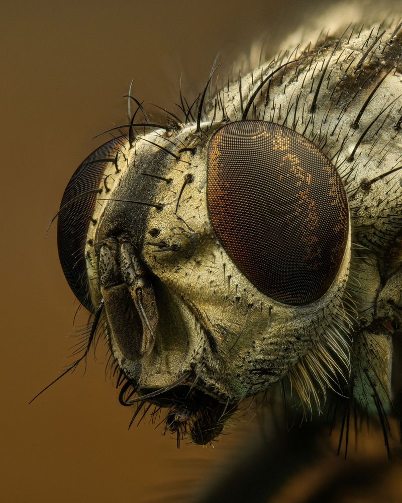 Photograph by Юрий Юрьевич Подгрушный