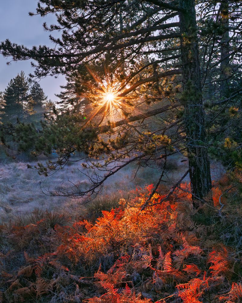 Photograph by Svetlana Tertyshnaya