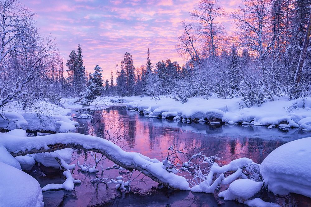 Photograph by Липецких Владимир