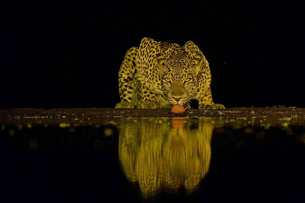 Photograph by Juraj Benčík