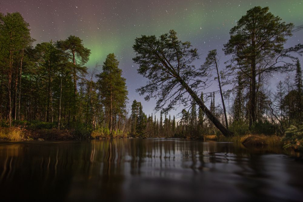 Photograph by Парамонов Григорий