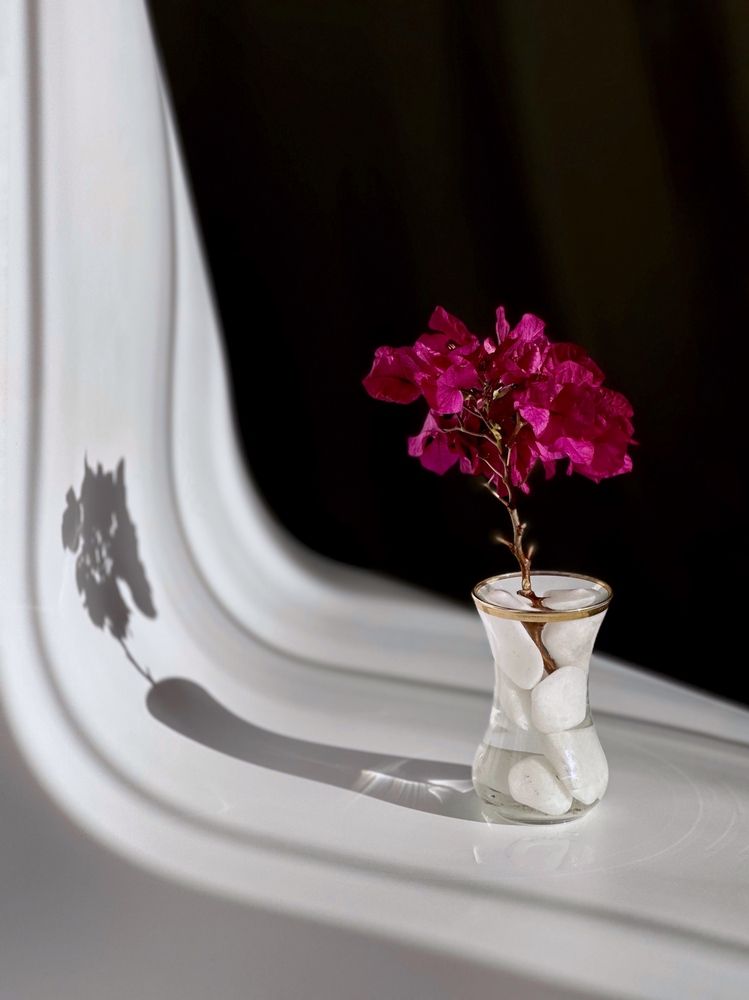 Photograph by Ksenia Sinitskaja
