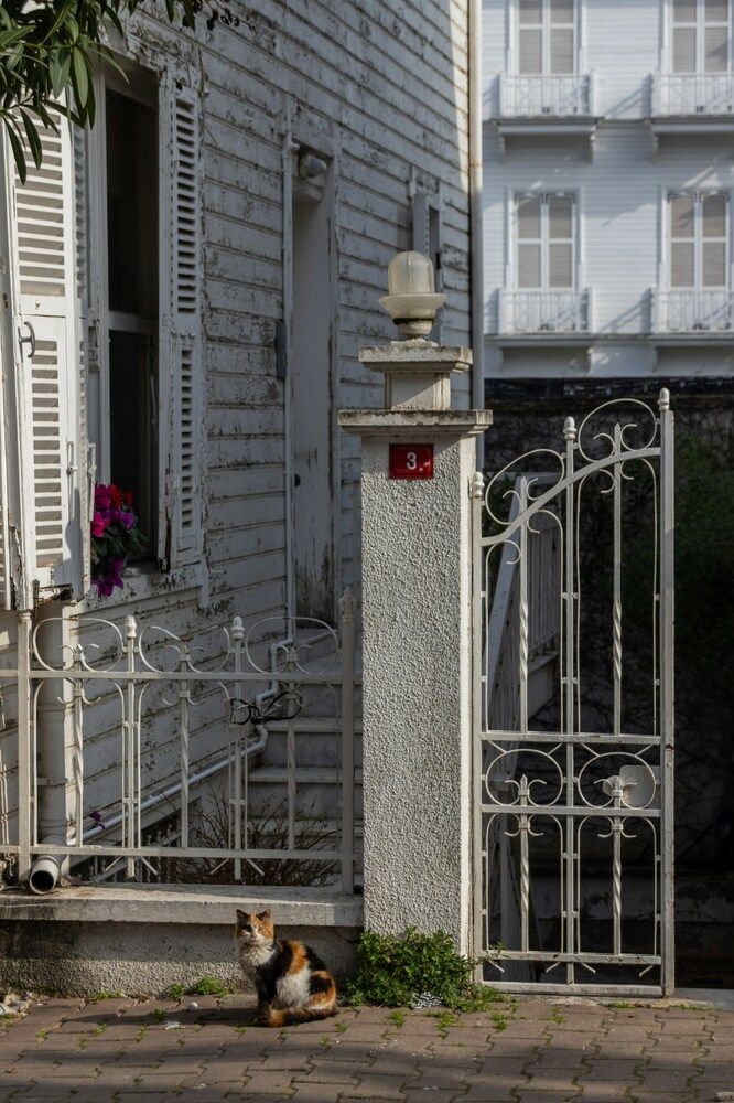 Фотография автора Georgii Eletskikh