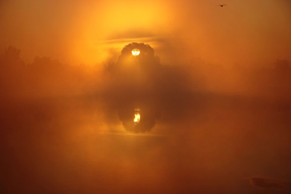 Глаз природы.