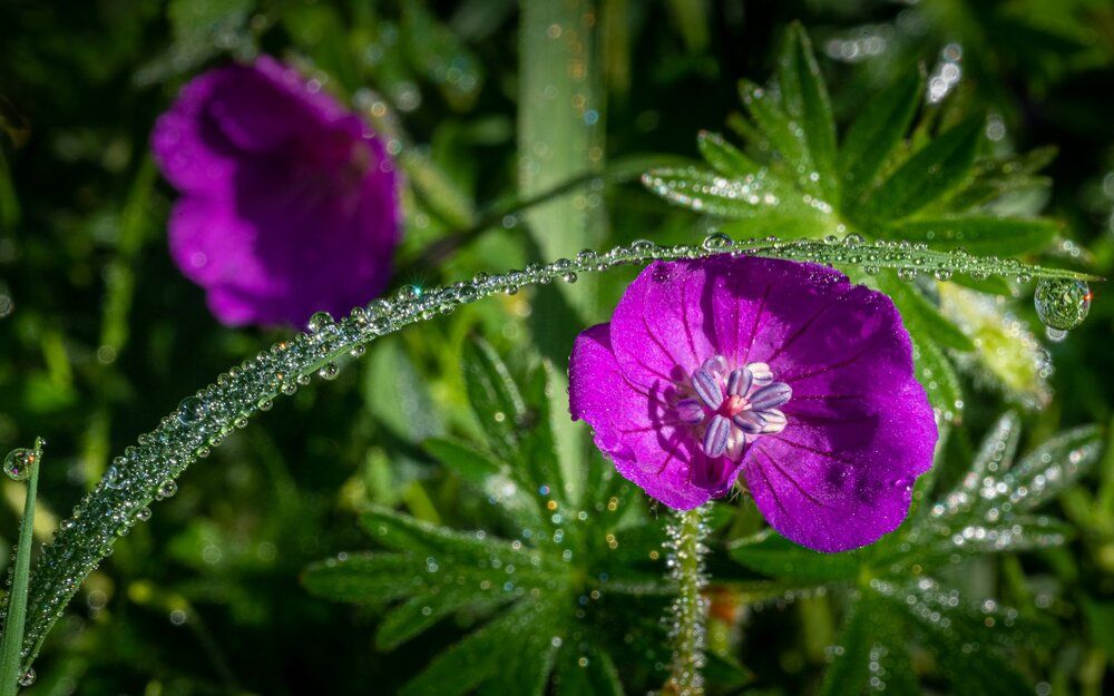 Photograph by Власов Андрей