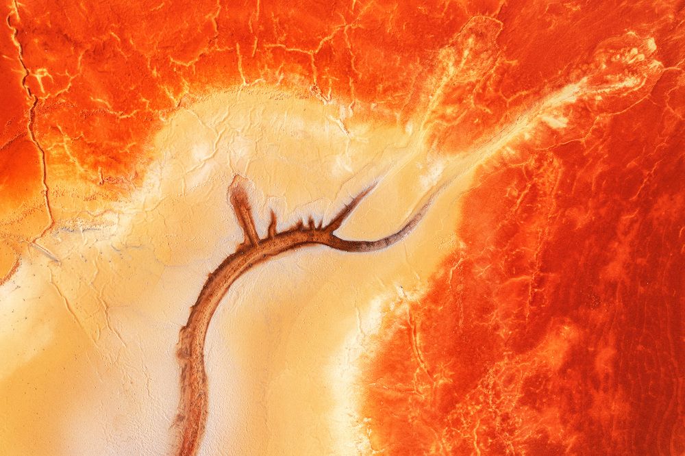 Photograph by Daniel Viñé Garcia