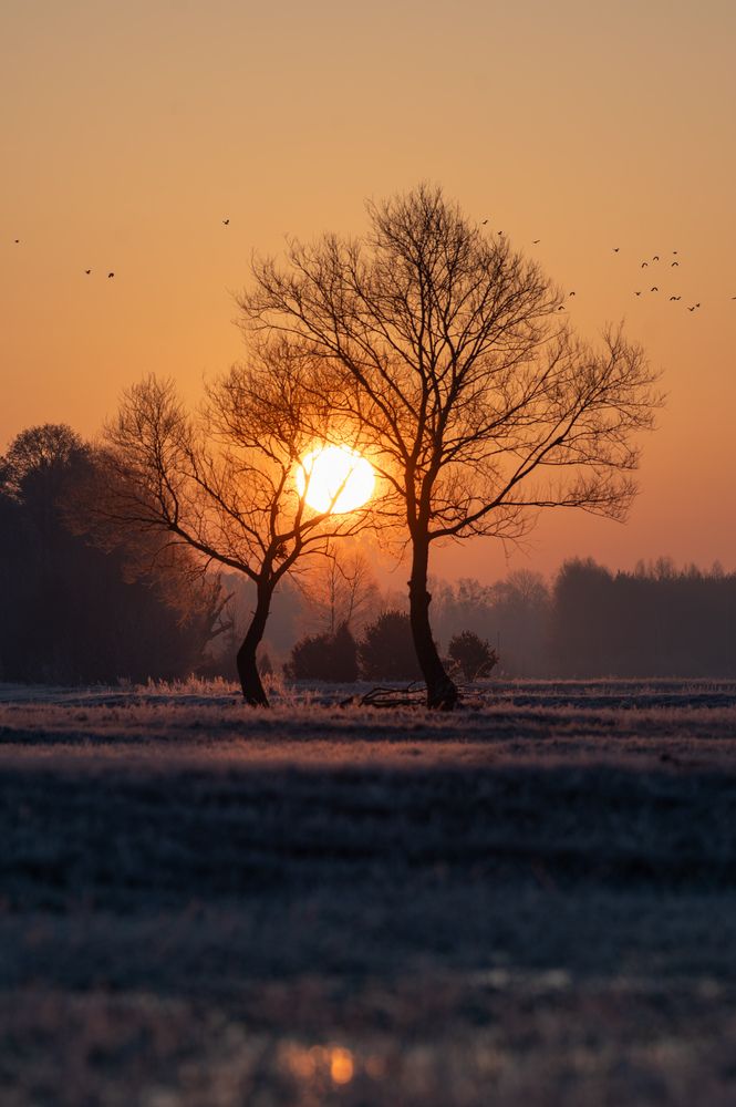 Photograph by Marta Szyzdek