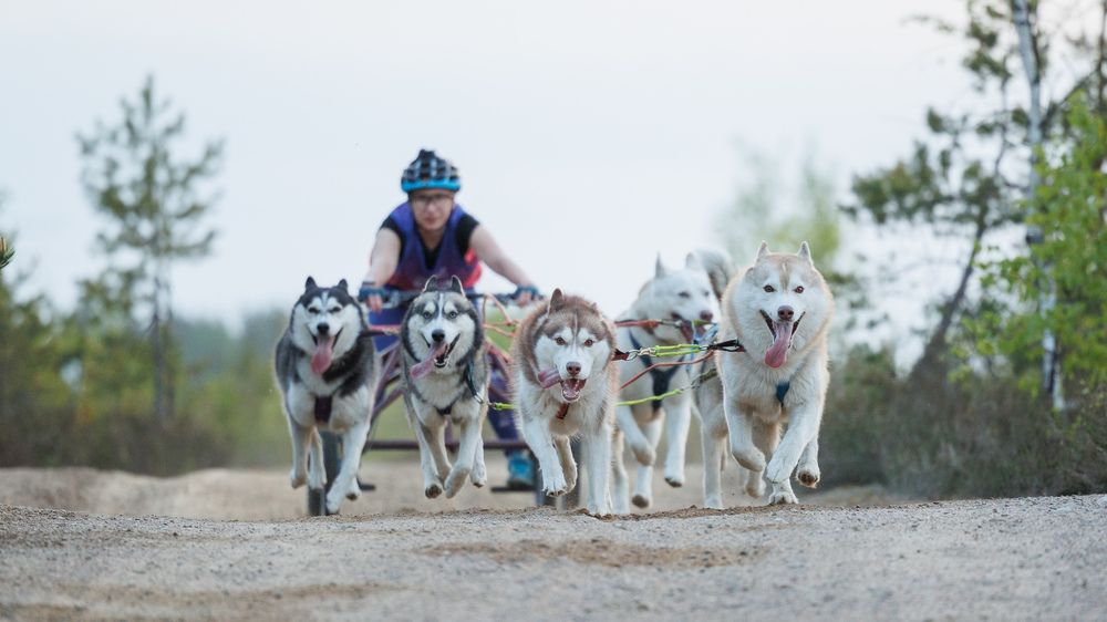 Photograph by Илья Юфа