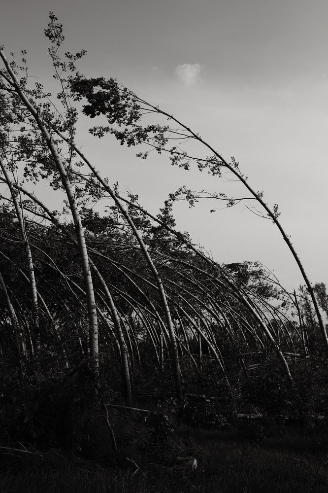 Photograph by Эдгар Черкасов