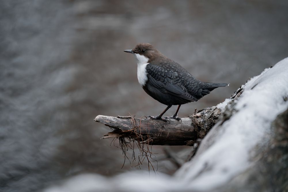 Photograph by Сергей Лебедев