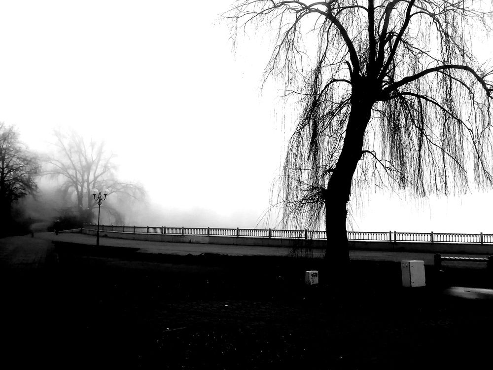 Photograph by Юля Хатыпова