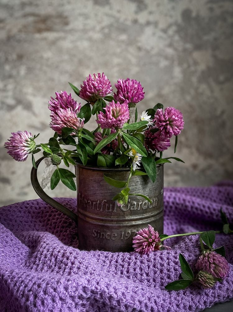 Photograph by Людмила Казак