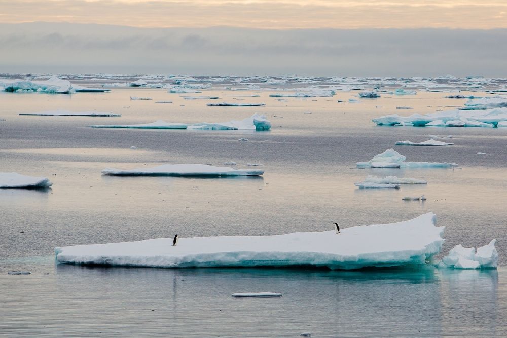 Photograph by Артём Сташкевич