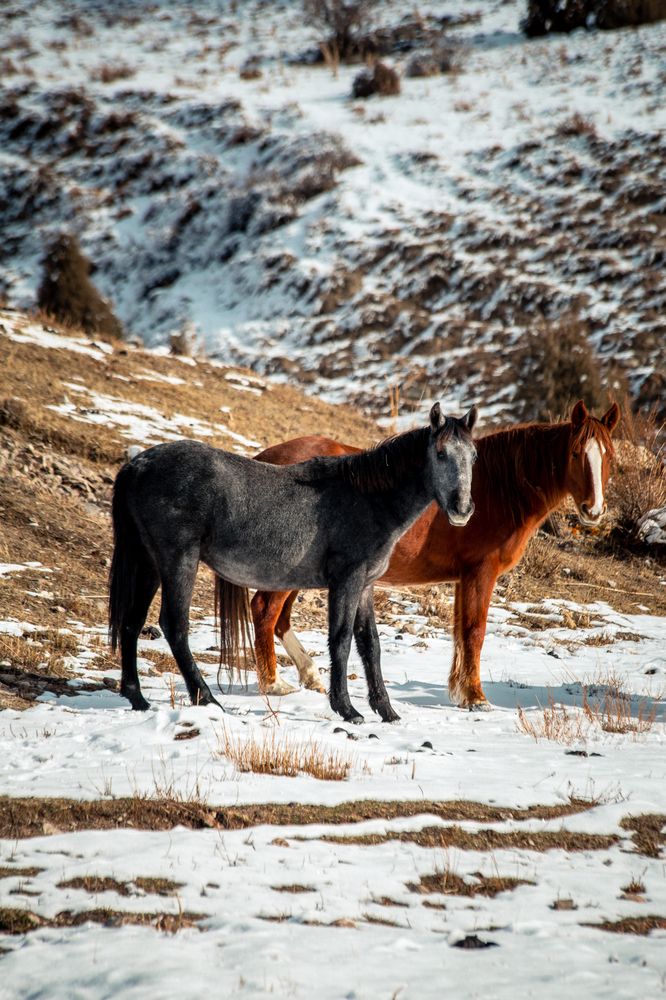 Photograph by Артем Миронов