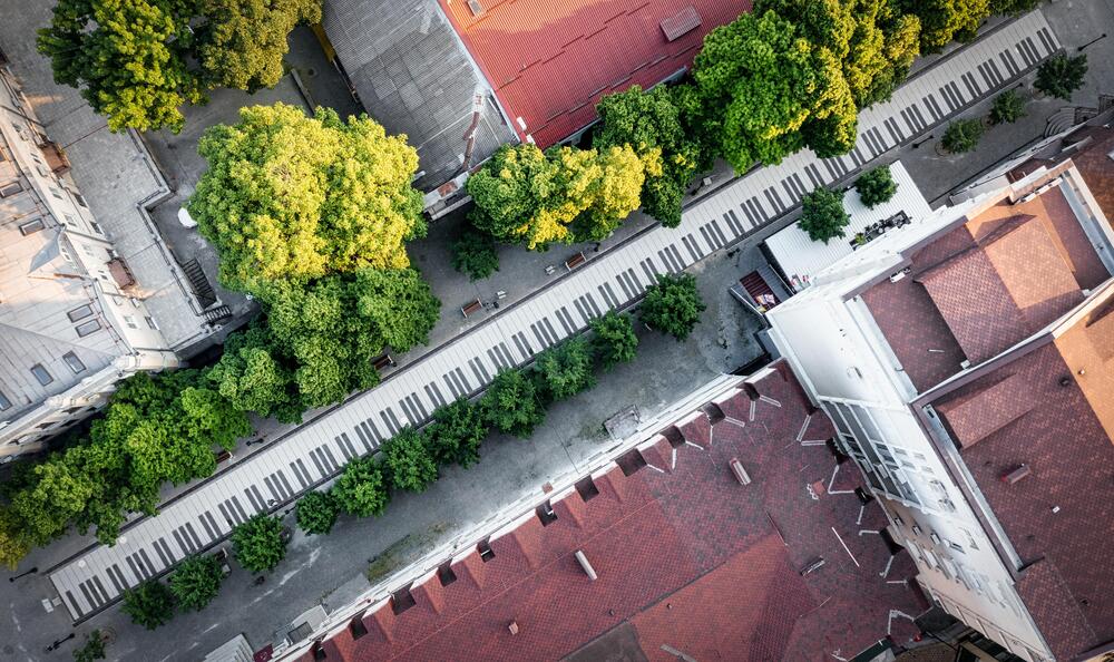 Photograph by Владимир Луценко