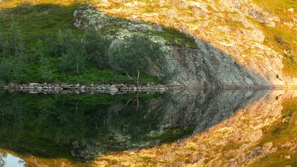 Photograph by Галина Андреева