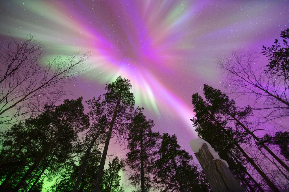 Photograph by Парамонов Григорий