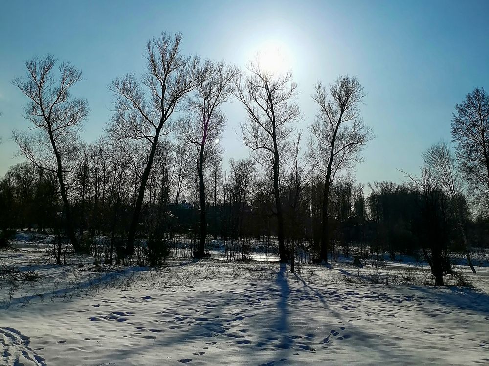 Photograph by Ксения Мельникова