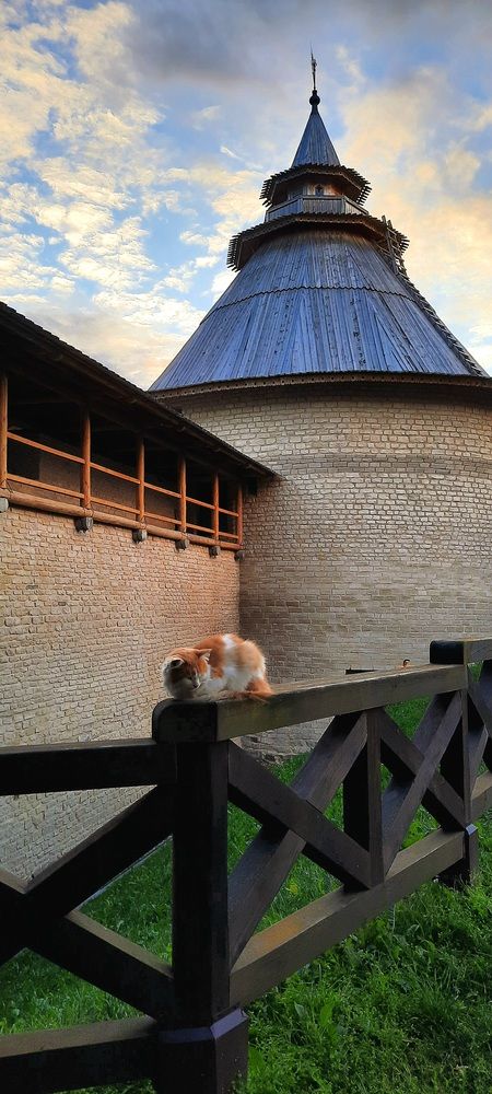 Photograph by Марина Игнатьева