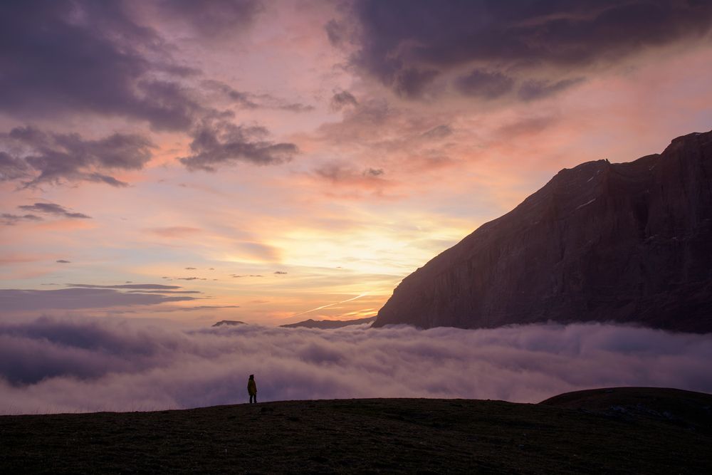 Photograph by Леонид Синев