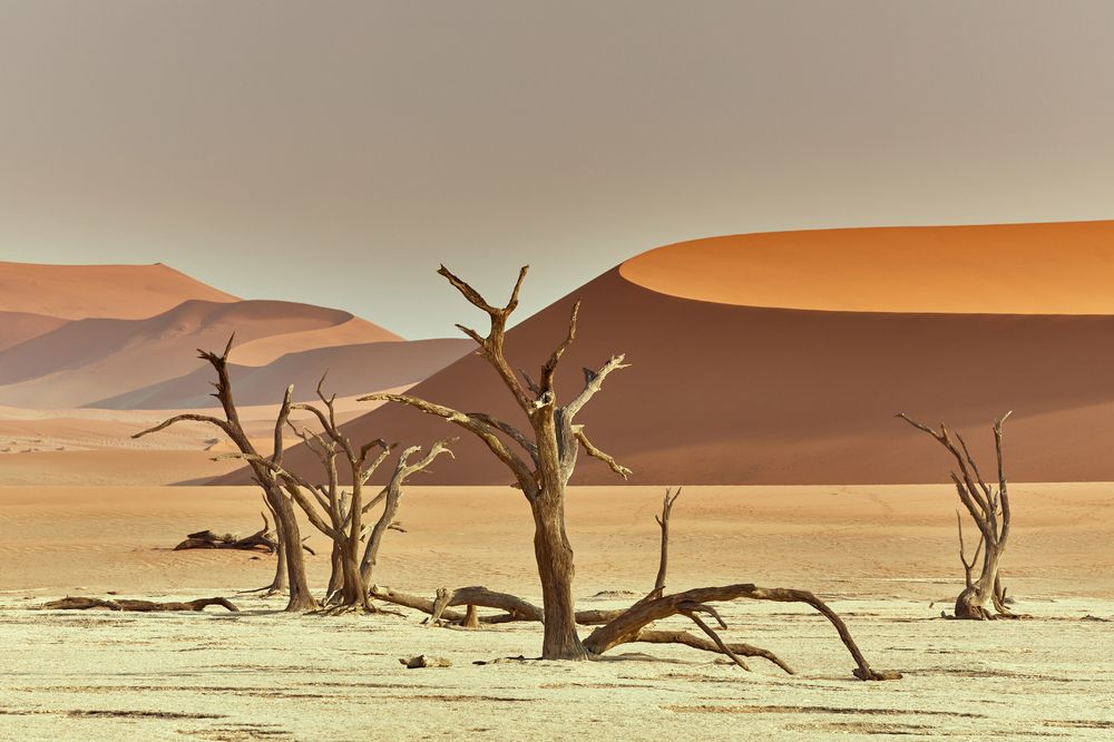 Photograph by Владимир Луценко