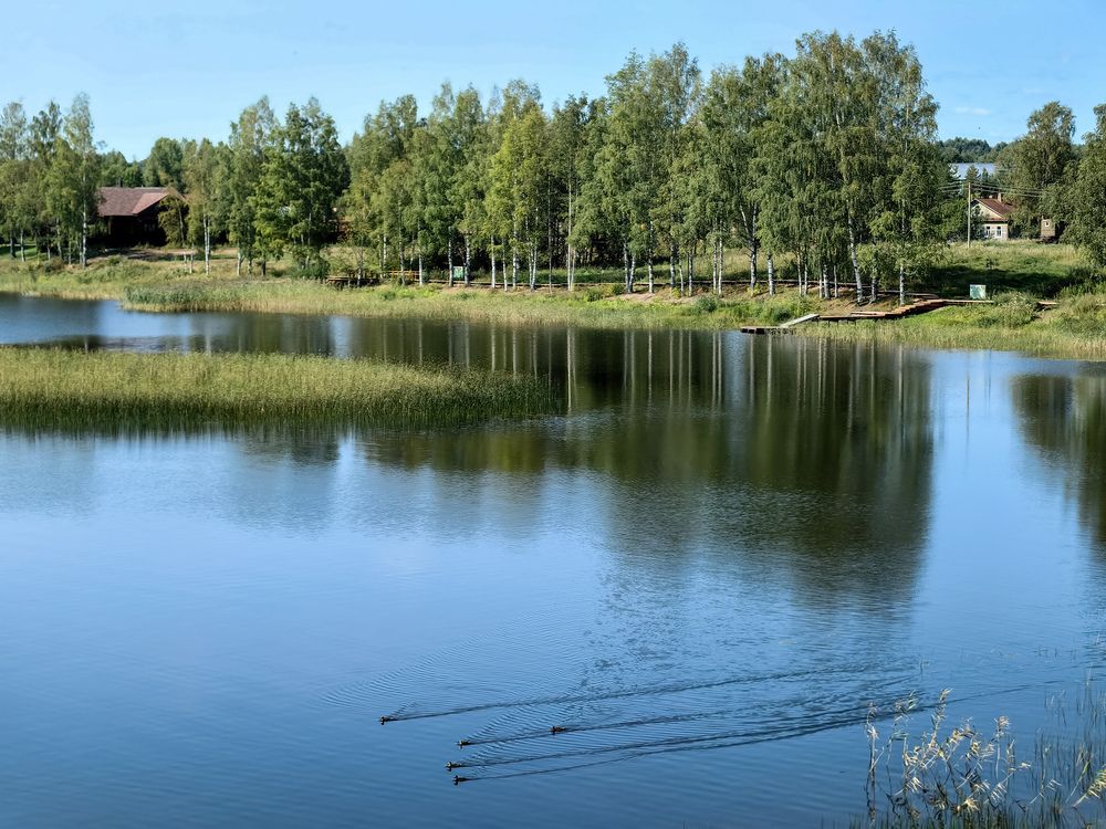 Photograph by Наталия Березина