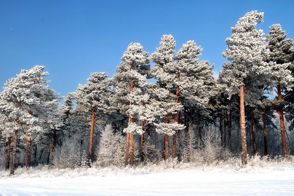 Photograph by Сергей Черных