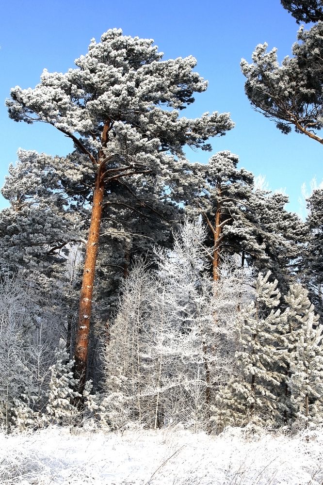 Photograph by Сергей Черных