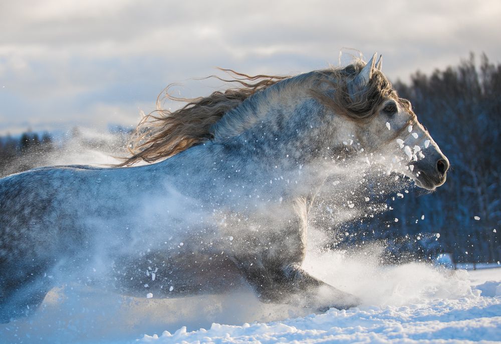 Photograph by Екатерина Михайлова
